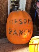 Pumpkins at Everson Ranch - Cherrye Williams